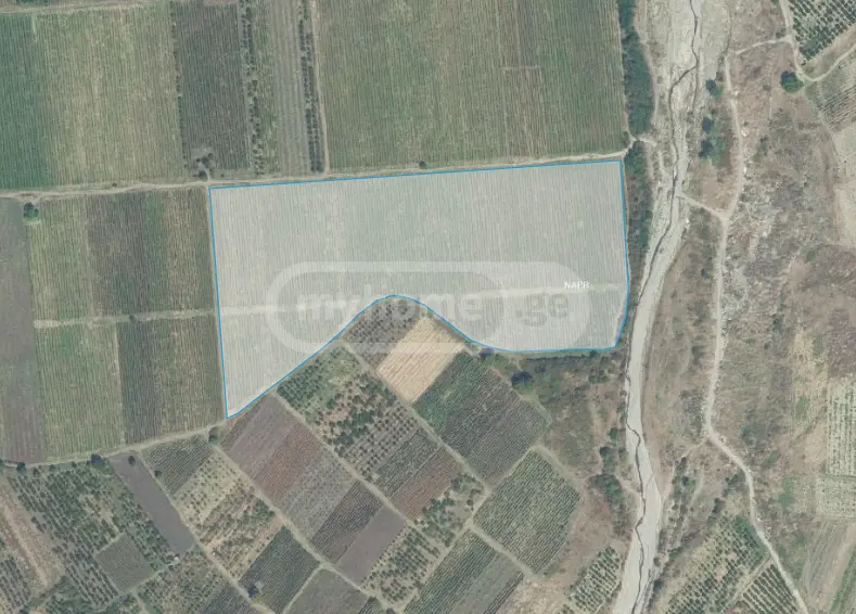 Agricultural Plot For Sale In Gurjaani view 5