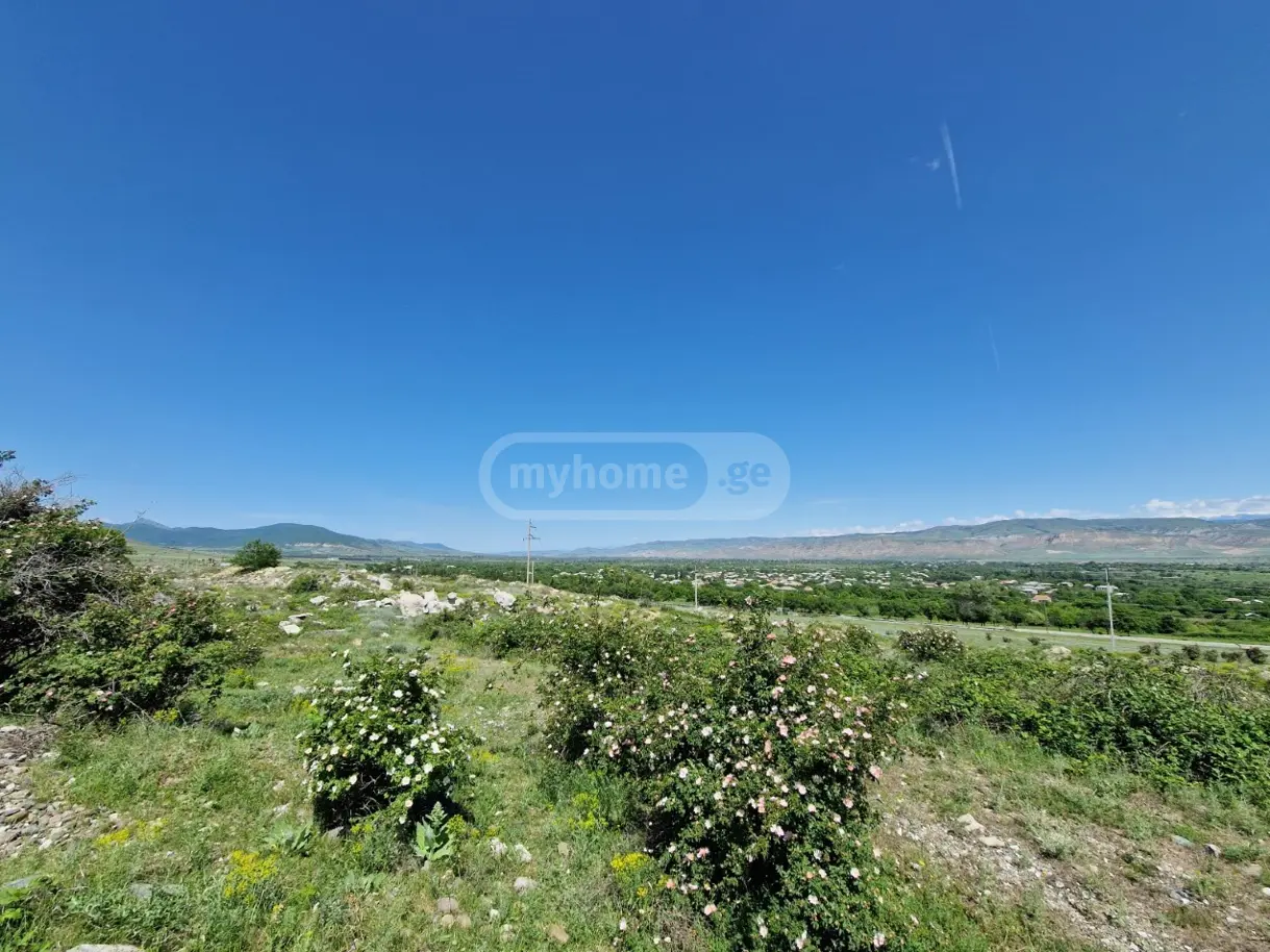 იყიდება Non-Agricultural Plot In Kaspiში view 2