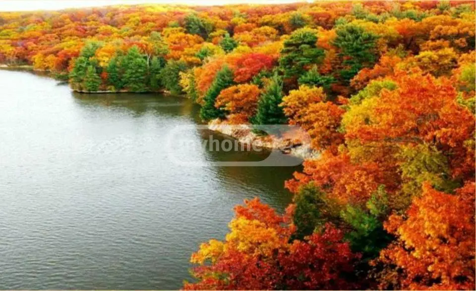 Agricultural Plot For Sale In Ambrolauri view 1