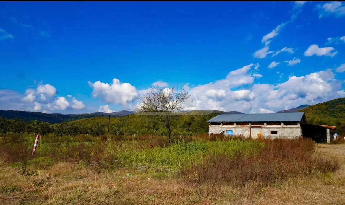 Agricultural Plot For Sale In Akhmeta view 4