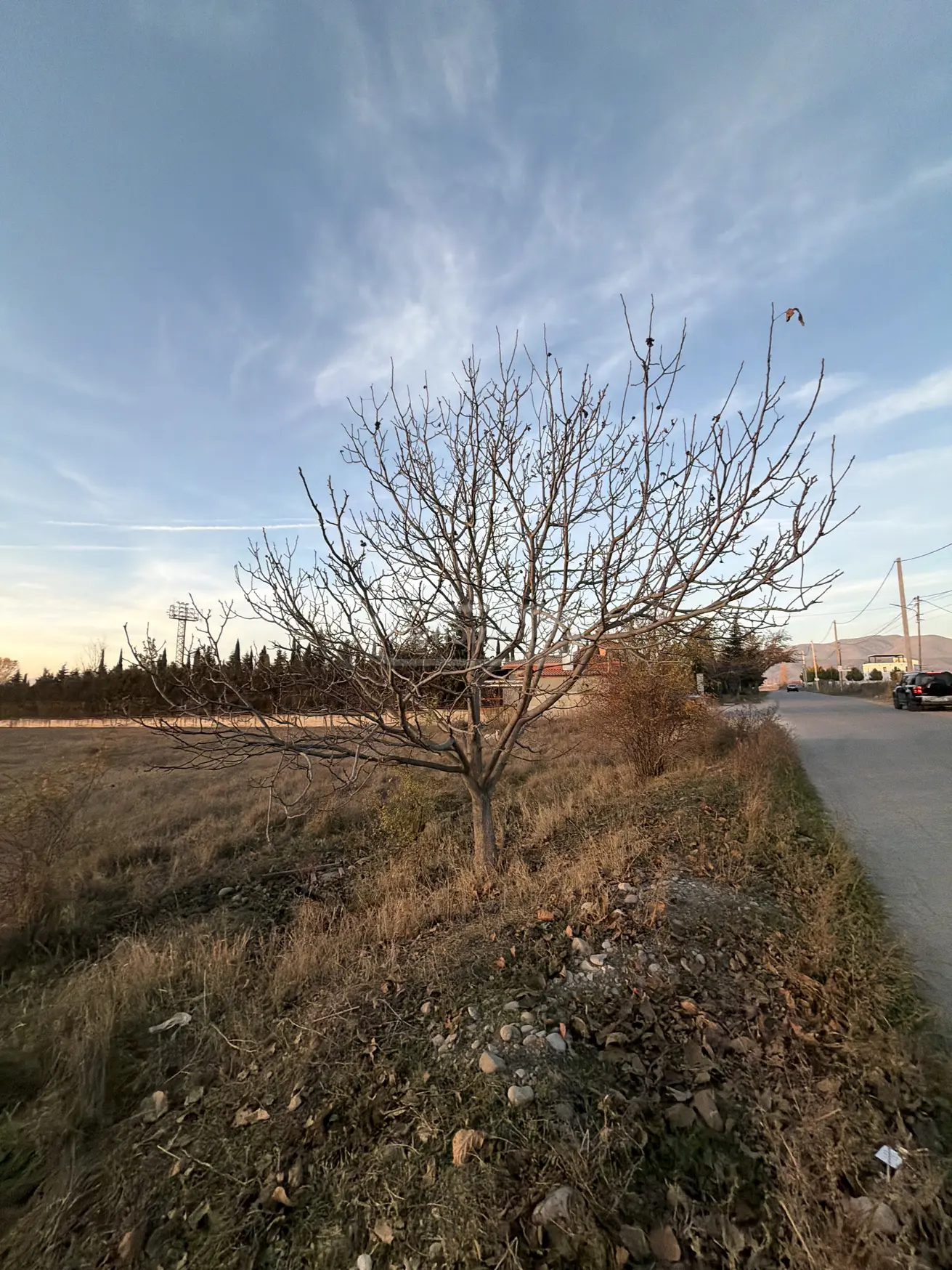 Non-Agricultural Plot For Sale In Saguramo, In Mtskheta Municipality view 10