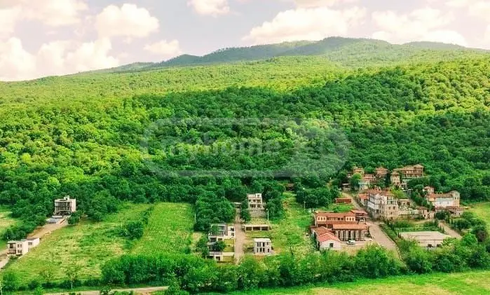 3 Room Private House Daily Rent In Telavi view 4