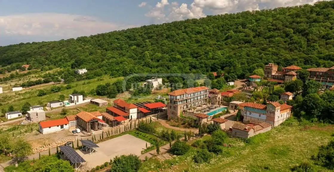 3 Room Private House Daily Rent In Telavi view 7