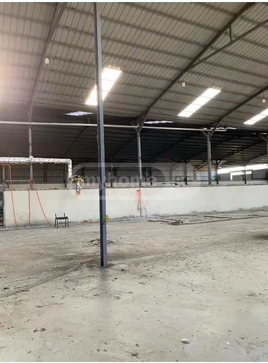 Full Building Commercial Area For Sale In Signagi view 4