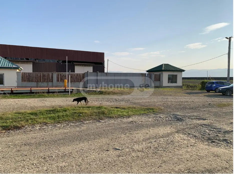 Full Building Commercial Area For Sale In Signagi view 8
