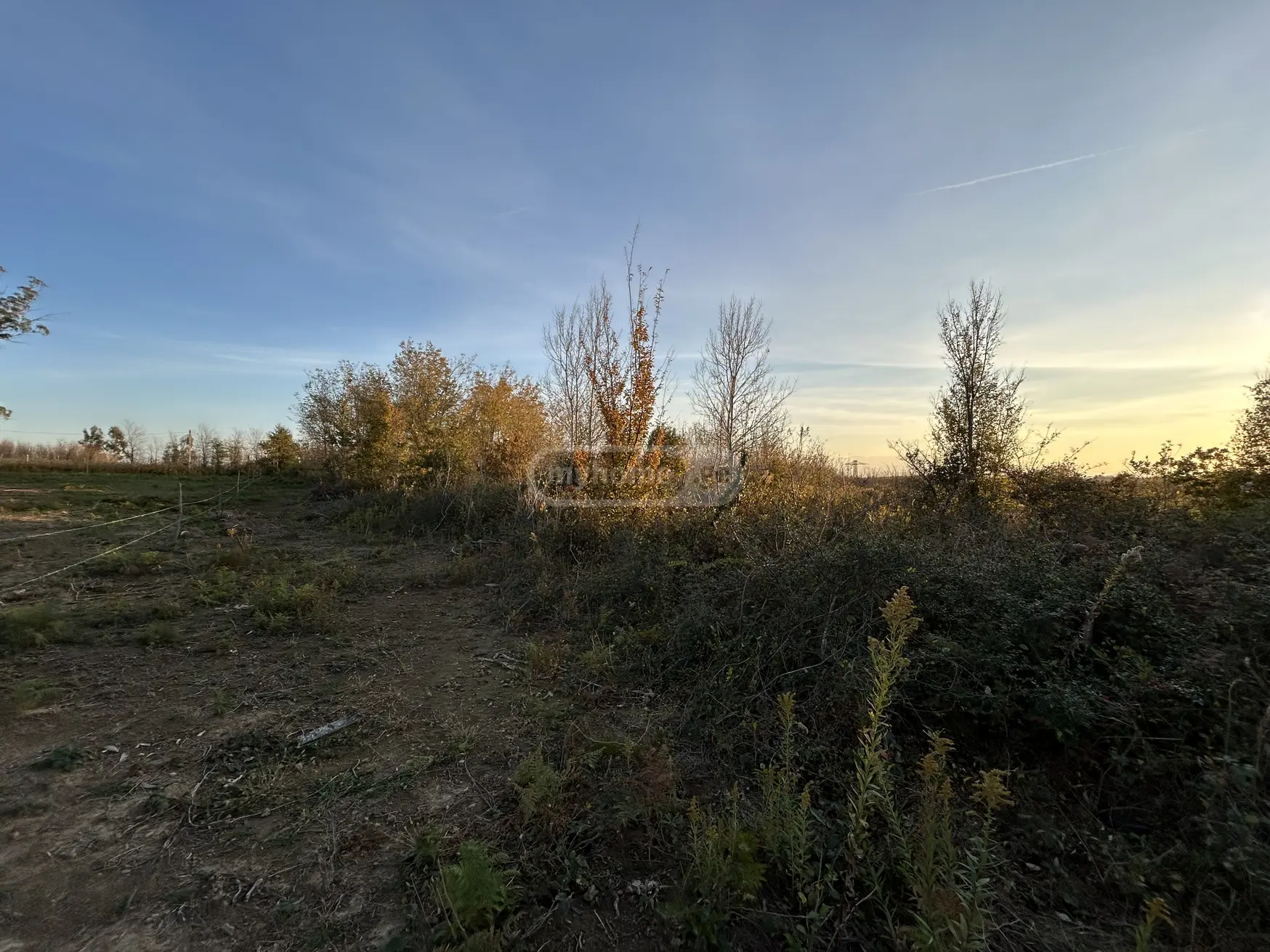 Agricultural Plot For Sale In Gumbra, In Tskaltubo Municipality view 3