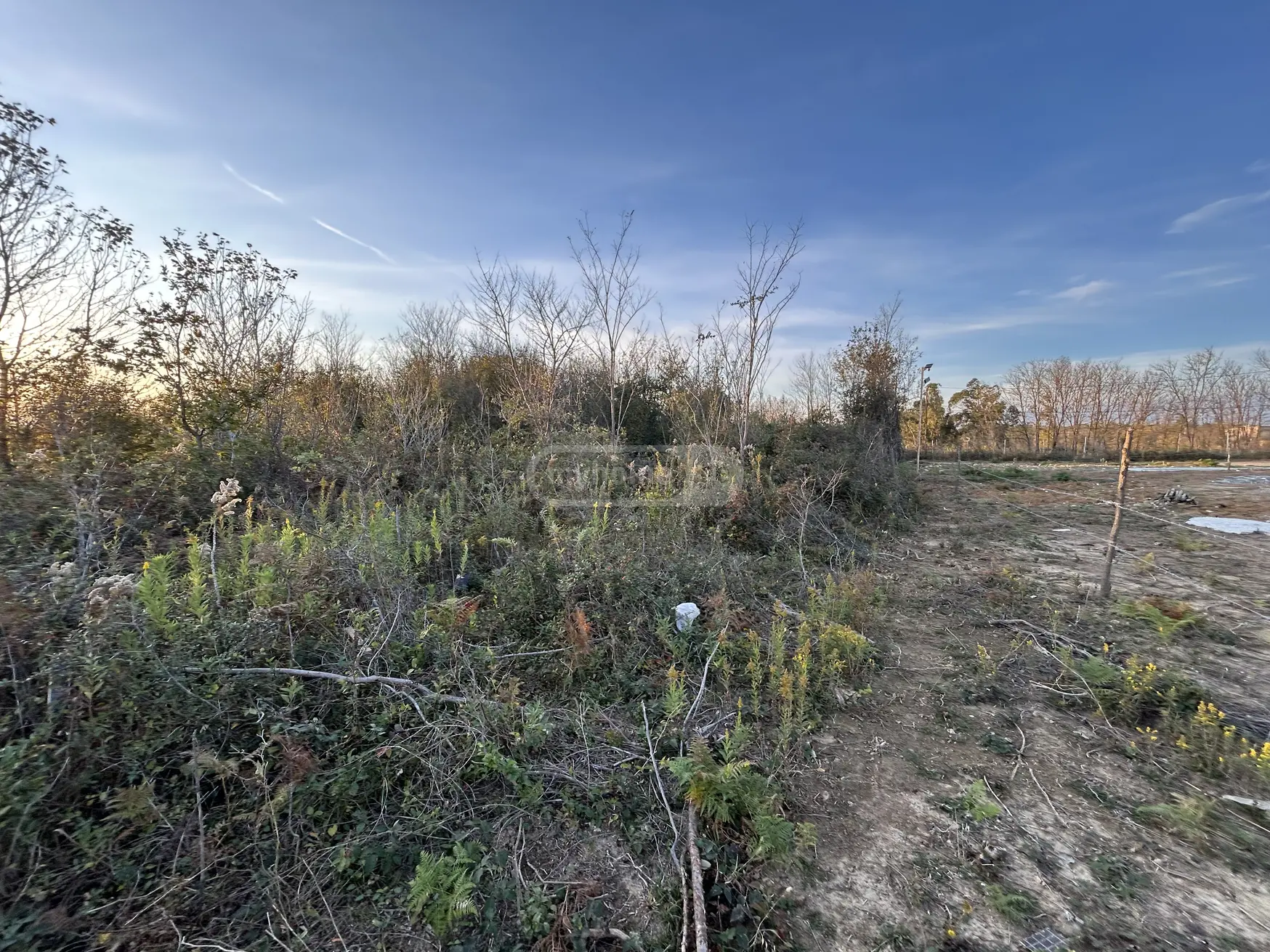 Agricultural Plot For Sale In Gumbra, In Tskaltubo Municipality view 4