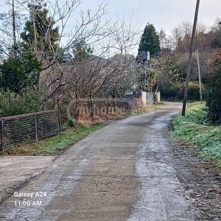 Agricultural Plot For Sale In Tsikhisdziri, In Kobuleti Municipality view 4