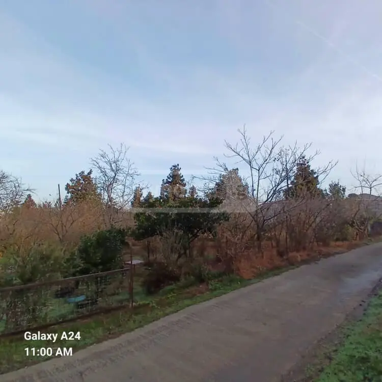 Agricultural Plot For Sale In Tsikhisdziri, In Kobuleti Municipality view 3