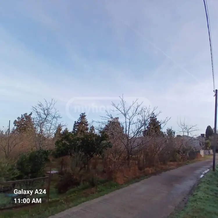 Agricultural Plot For Sale In Tsikhisdziri, In Kobuleti Municipality view 2