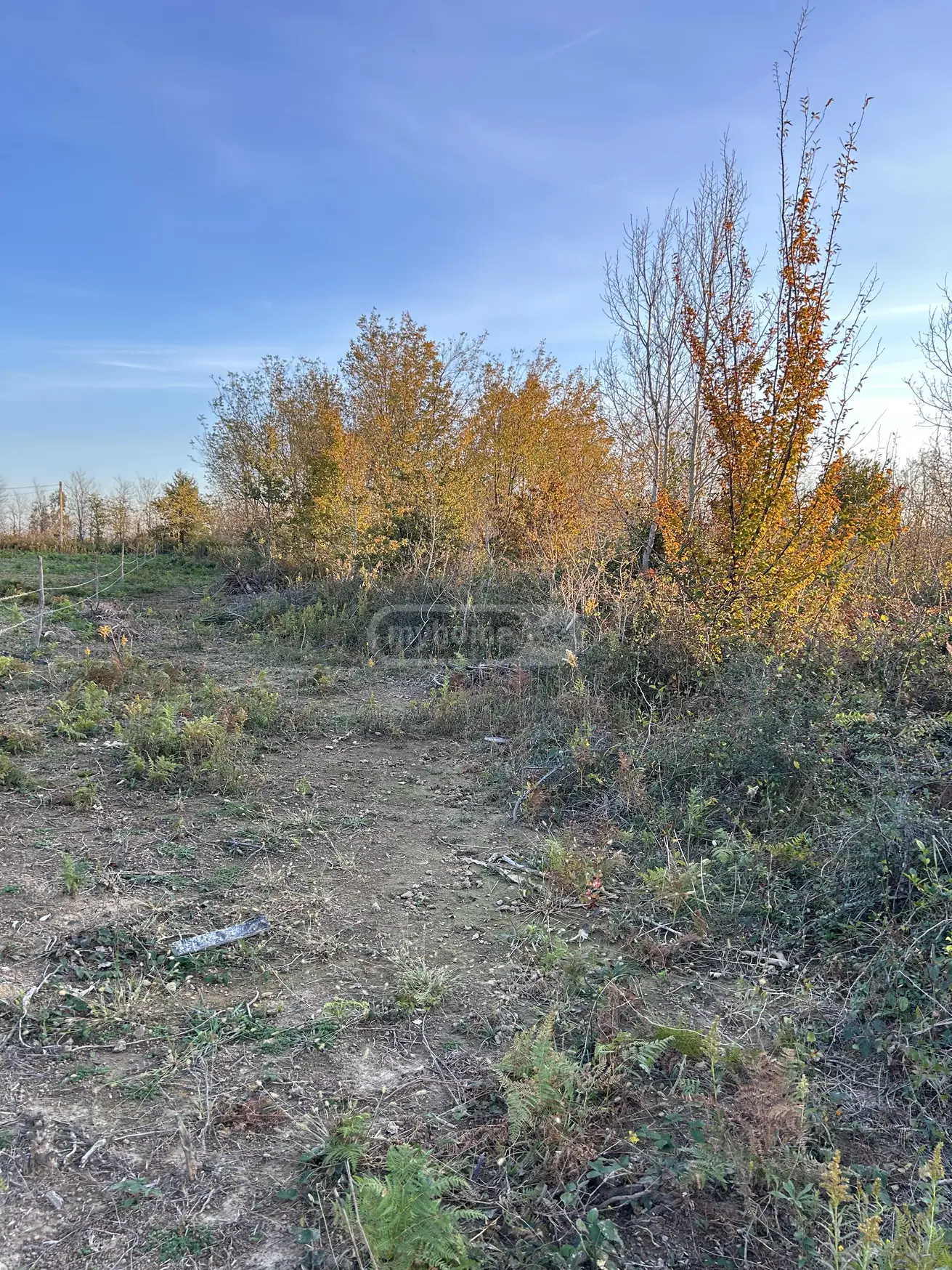Agricultural Plot For Sale In Gumbra, In Tskaltubo Municipality view 5