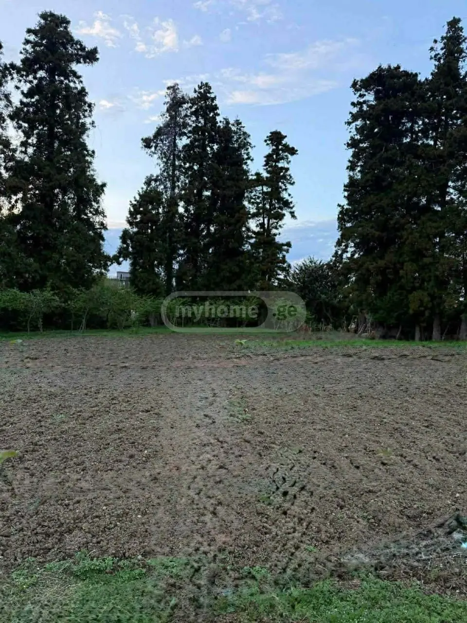 Commercial Plot For Sale In Gonio, In Khelvachauri Municipality view 4