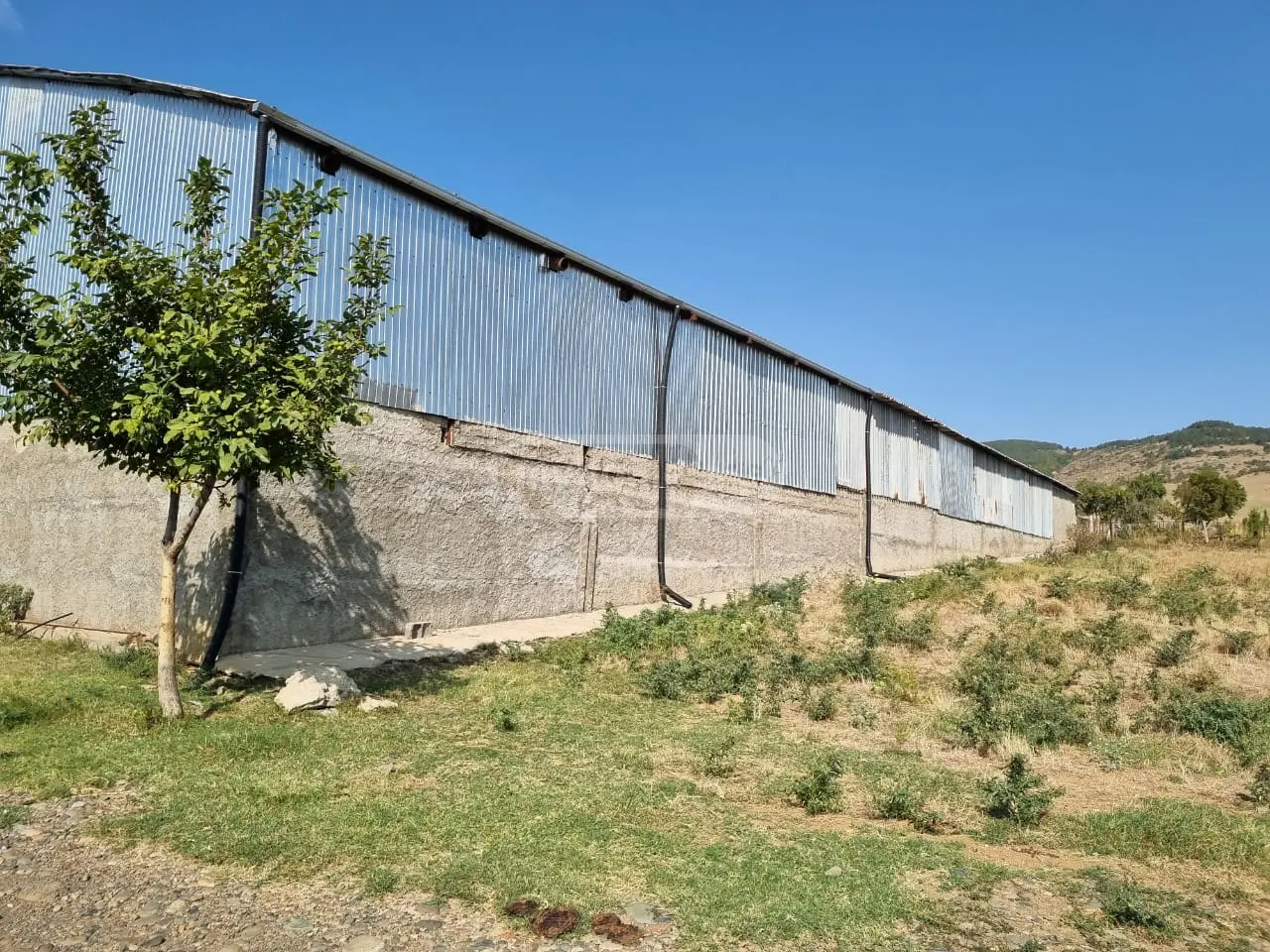 იყიდება Warehousing Commercial Area In Kvemo Teleti, In Gardabani Municipalityში view 5
