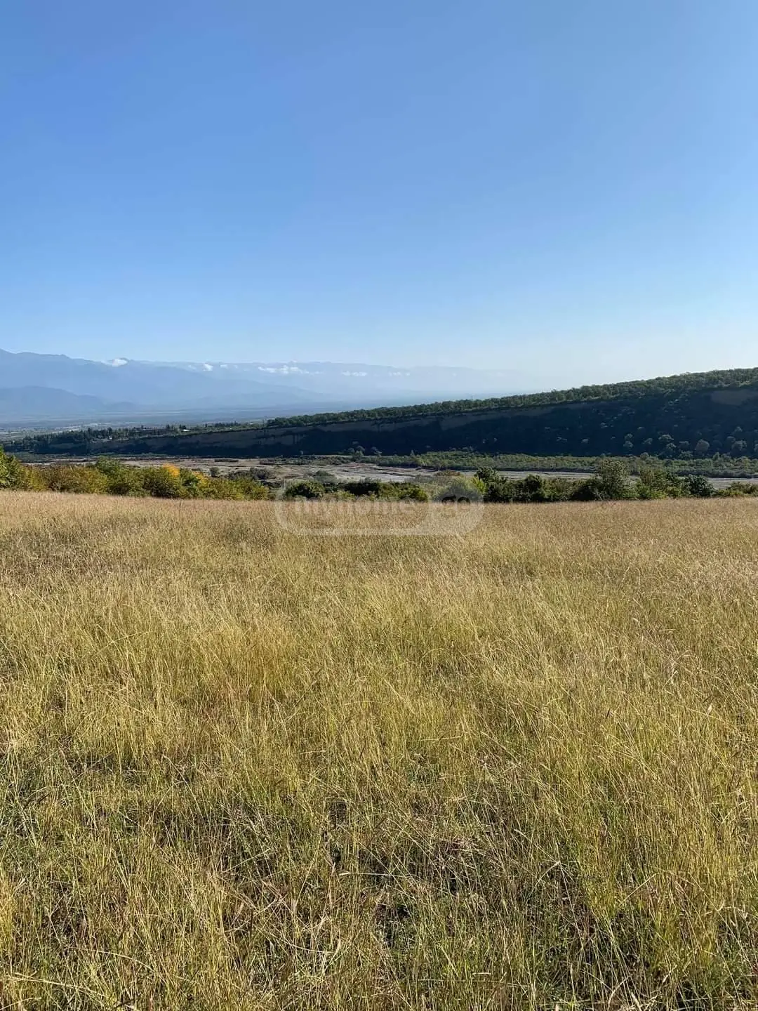 Agricultural Plot For Sale In Telavi view 4
