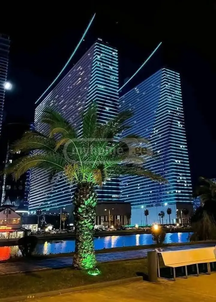 1 Room Apartment Daily Rent Khimshiashvilis Ubani, In Batumi view 7