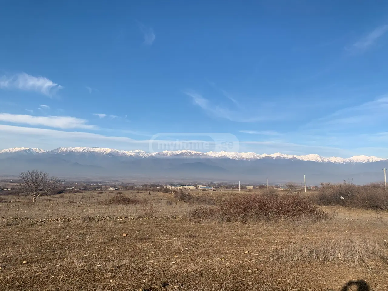 Agricultural Plot For Sale In Telavi view 1