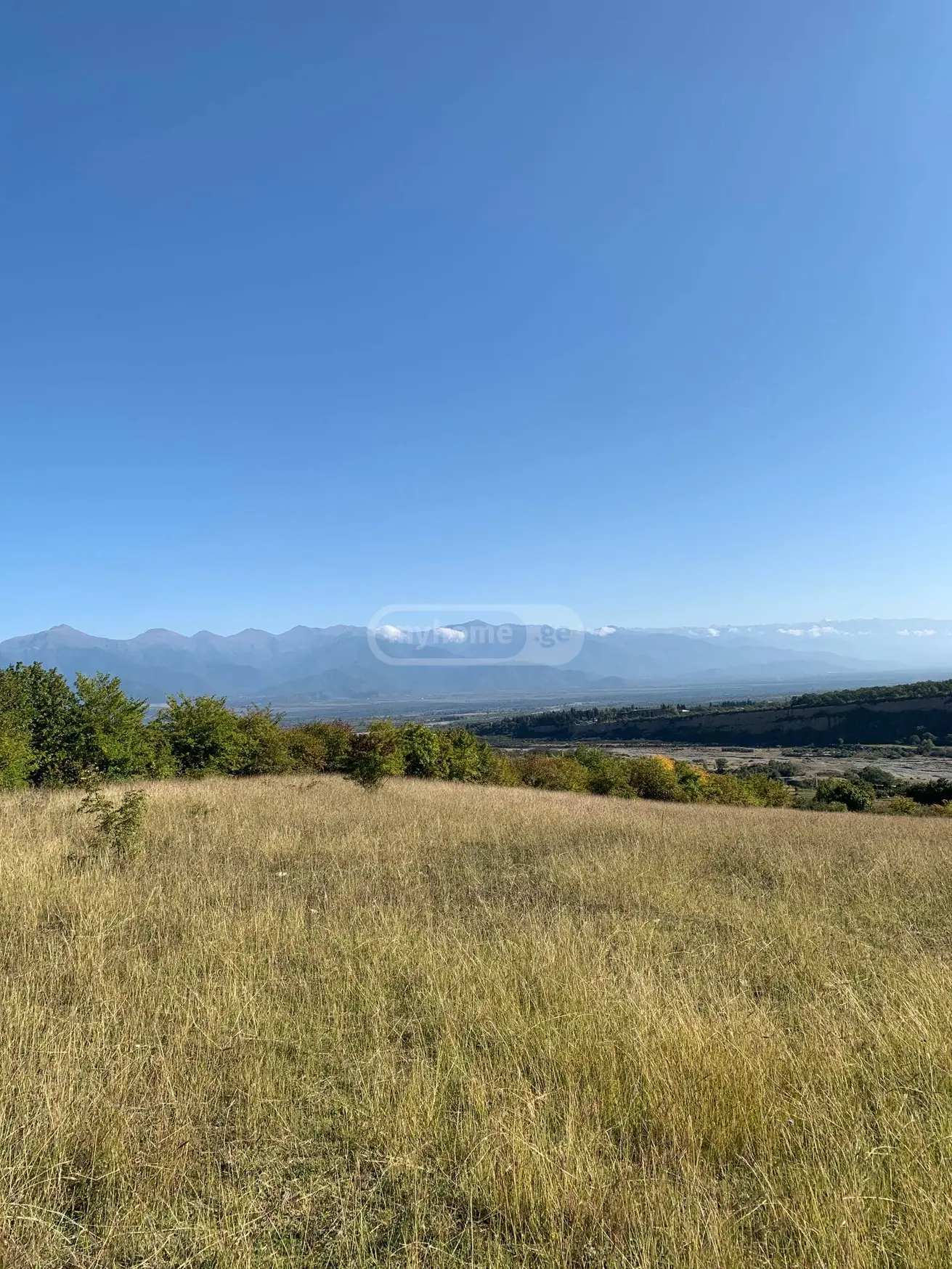 Agricultural Plot For Sale In Telavi view 2