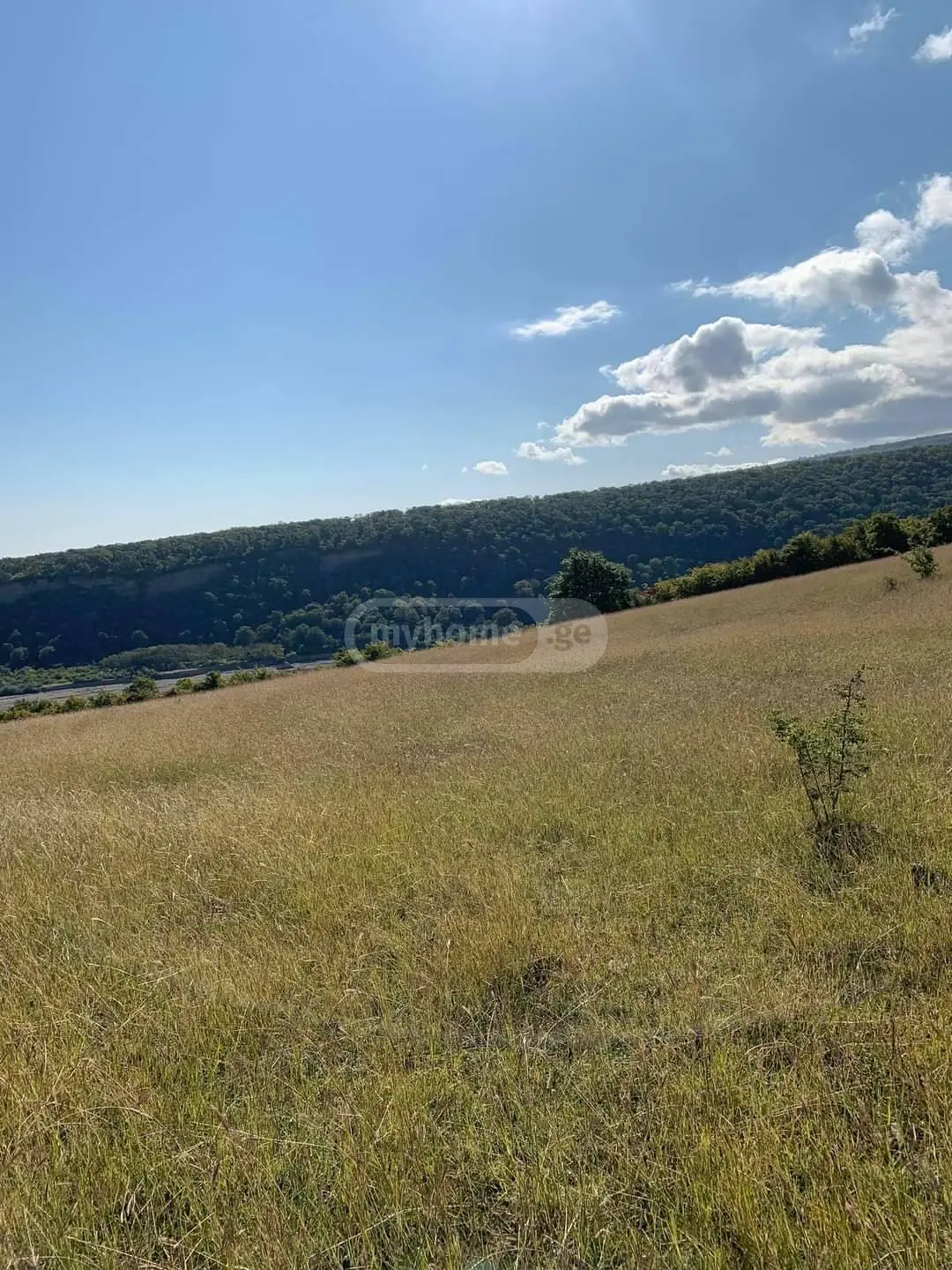 Agricultural Plot For Sale In Telavi view 2