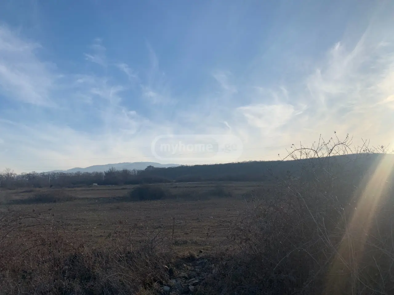 Agricultural Plot For Sale In Telavi view 2