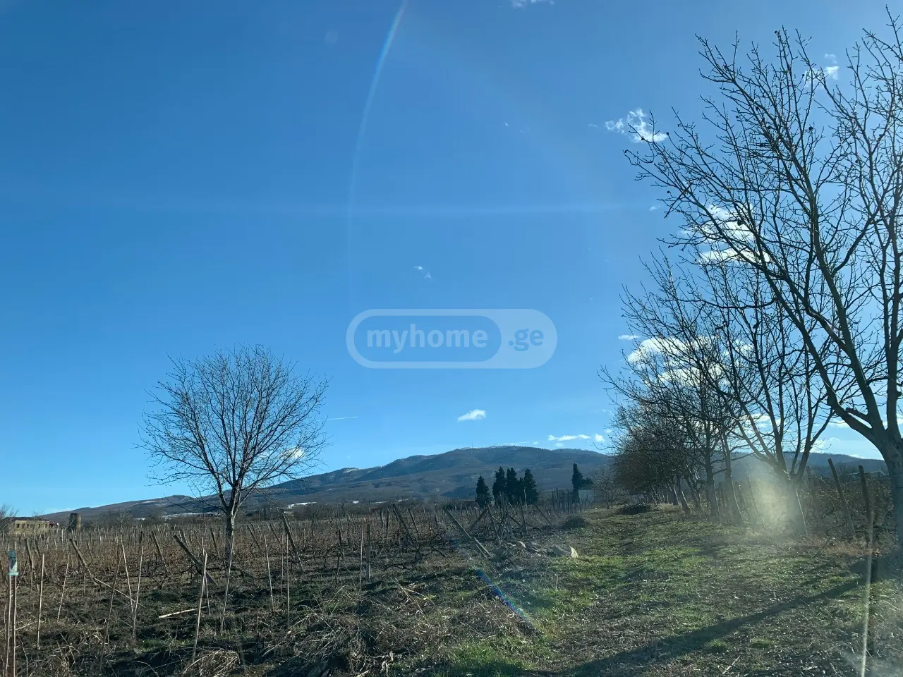 Agricultural Plot For Sale In Telavi view 2