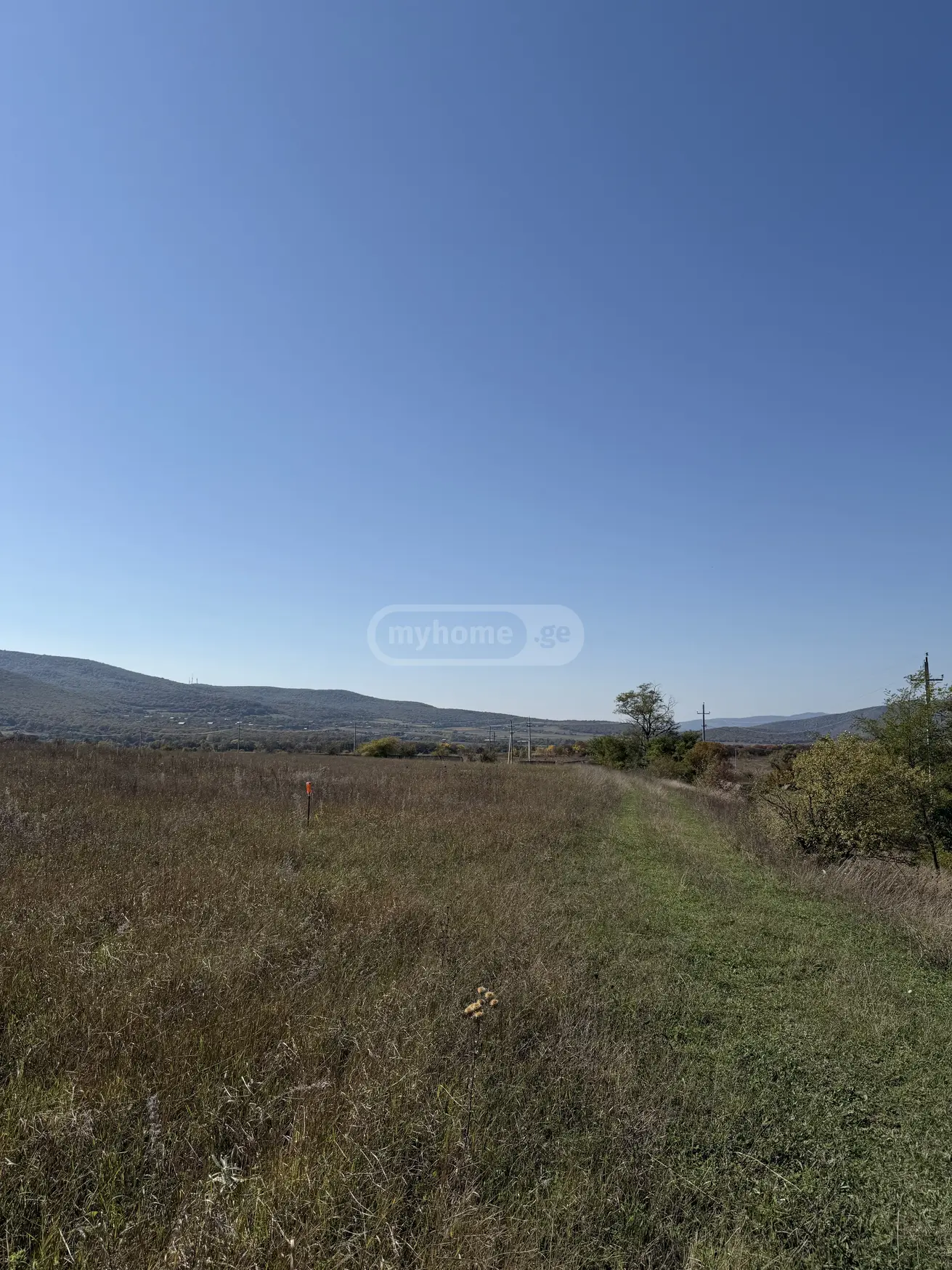 Agricultural Plot For Sale Near Bazalet Lake, In Dusheti Municipality view 3