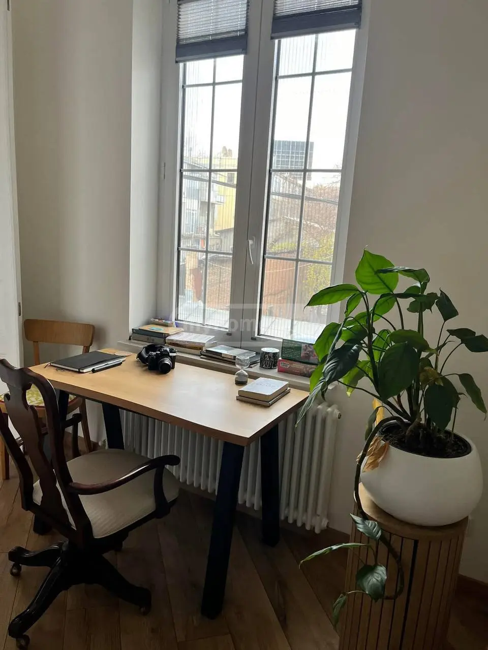 2 Room Apartment For Rent In Vera view 6