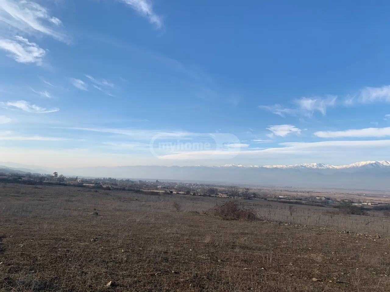 Agricultural Plot For Sale In Telavi view 4