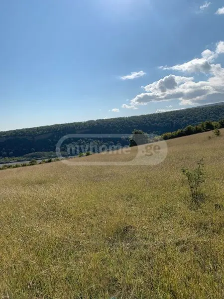 Agricultural Plot For Sale In Telavi view 1