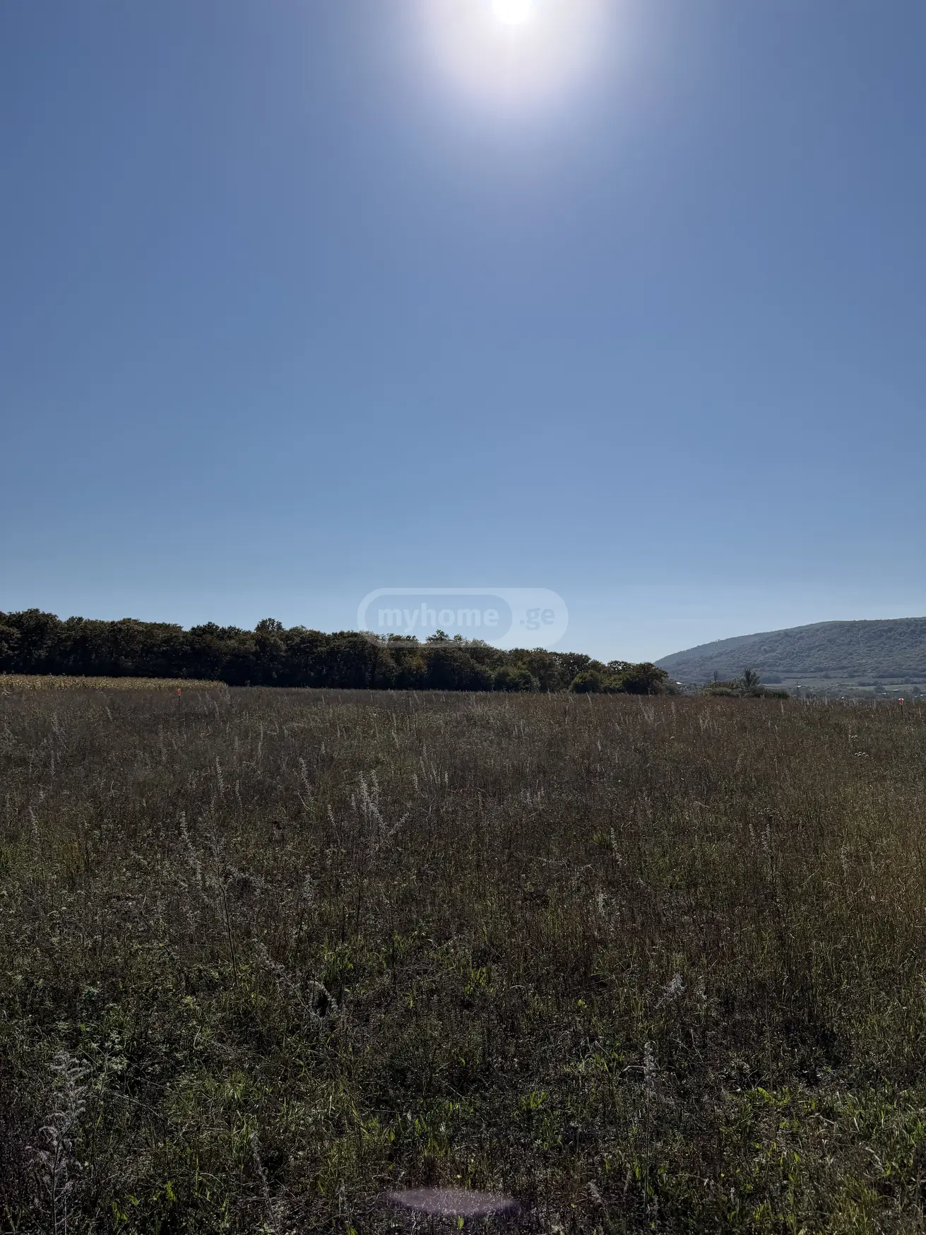 Agricultural Plot For Sale Near Bazalet Lake, In Dusheti Municipality view 5