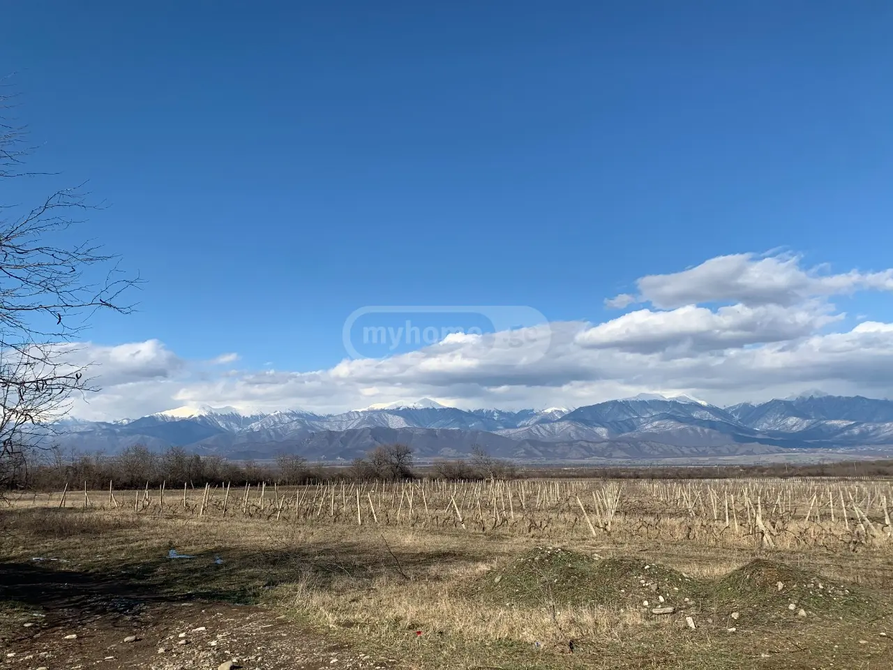Agricultural Plot For Sale In Telavi view 3