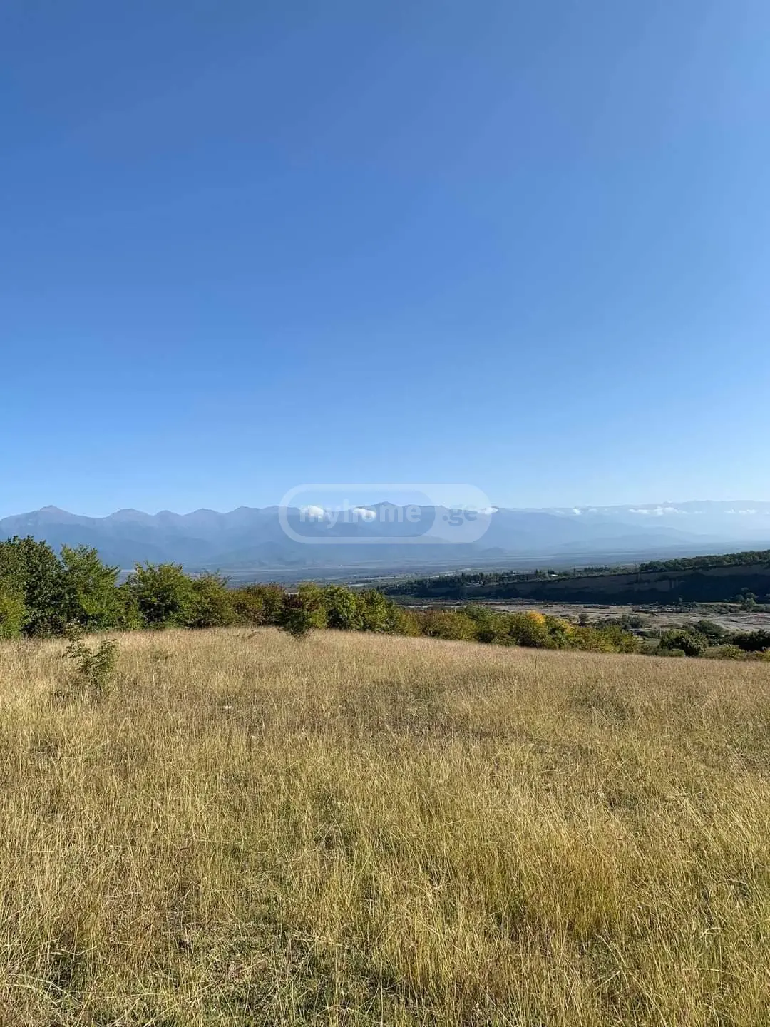 Agricultural Plot For Sale In Telavi view 3