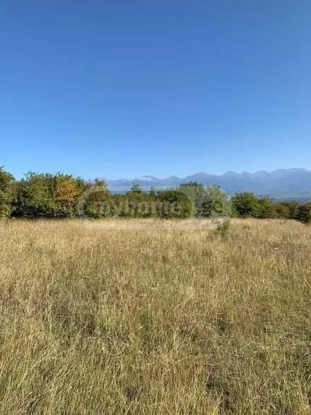 Agricultural Plot For Sale In Telavi view 1