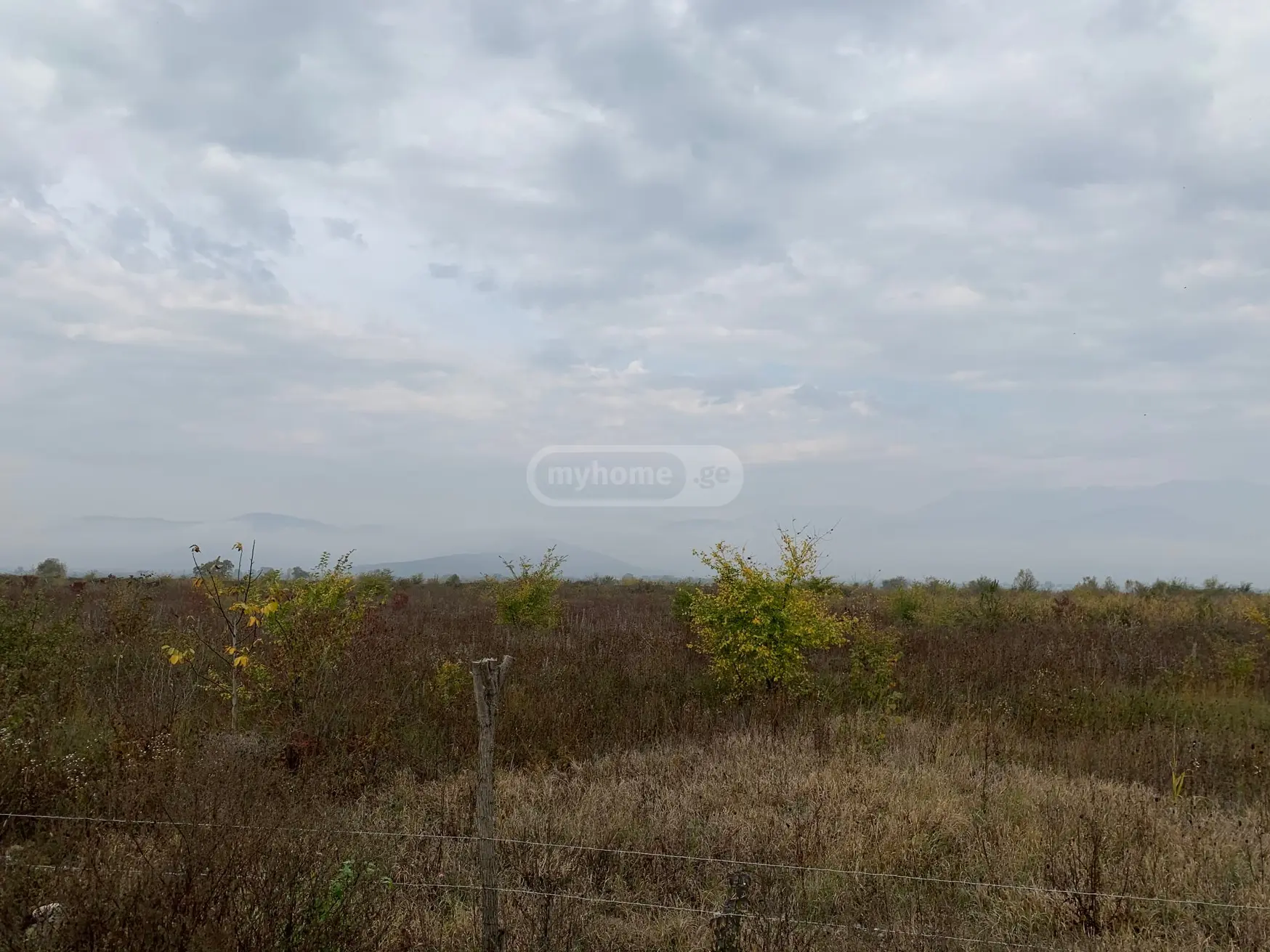 Agricultural Plot For Sale In Akhmeta view 1