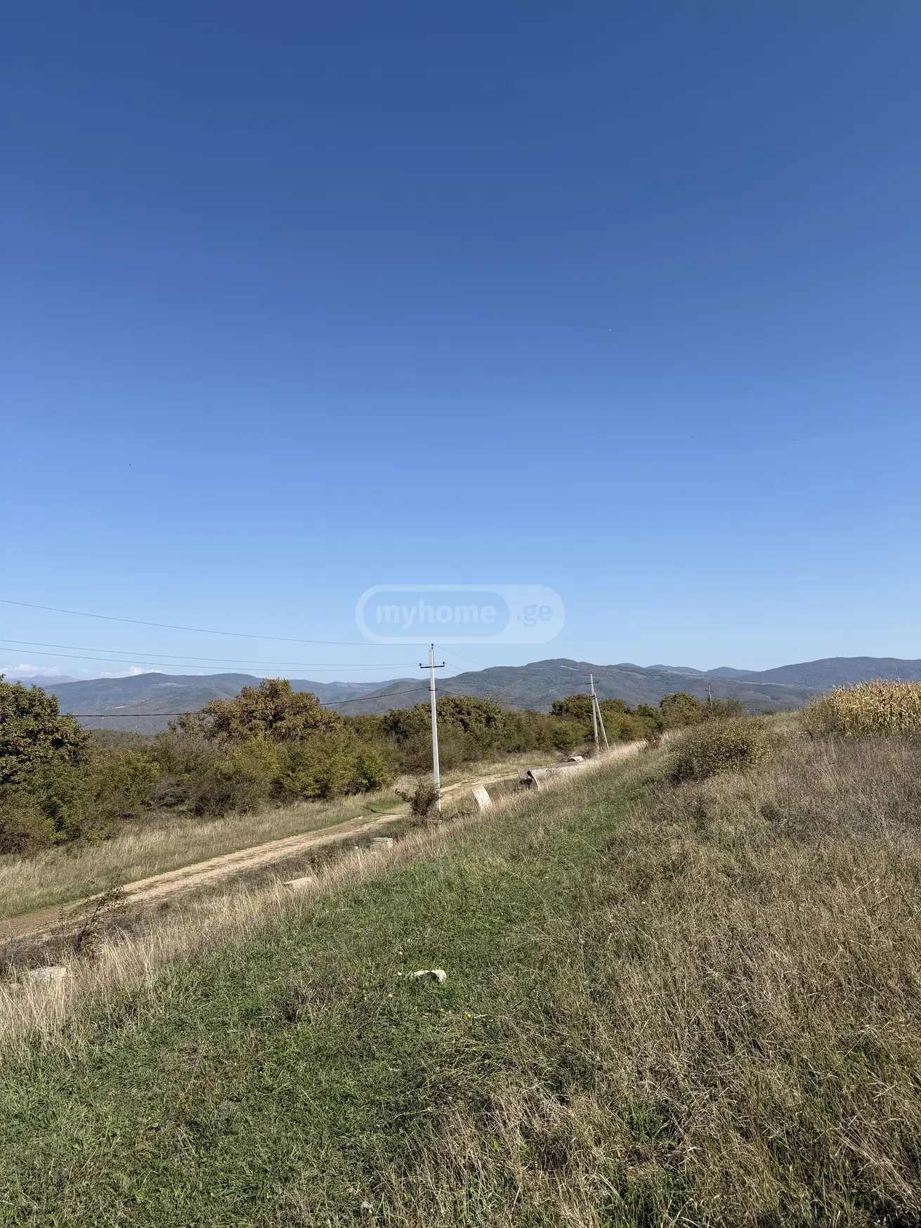 Agricultural Plot For Sale Near Bazalet Lake, In Dusheti Municipality view 4