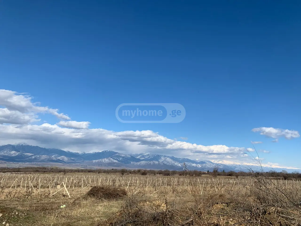 Agricultural Plot For Sale In Telavi view 2
