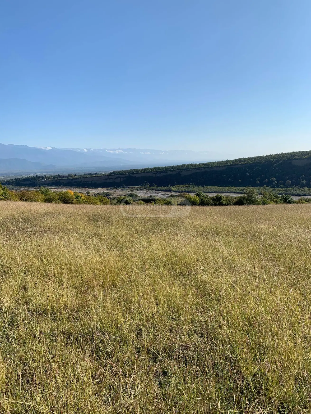 Agricultural Plot For Sale In Telavi view 3