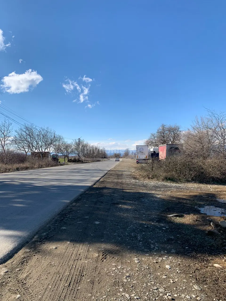 Agricultural Plot For Sale In Telavi view 1