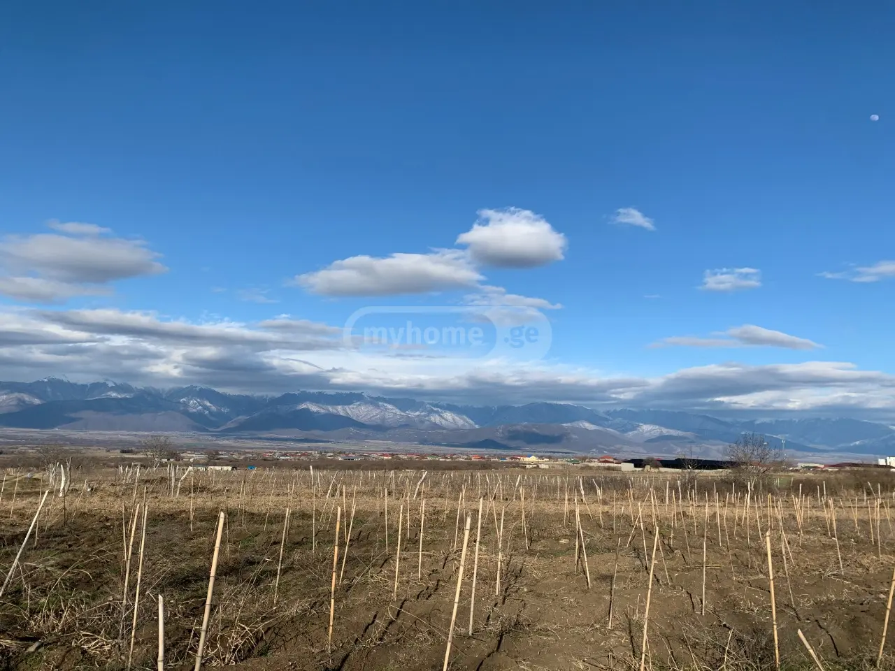 Agricultural Plot For Sale In Telavi view 1