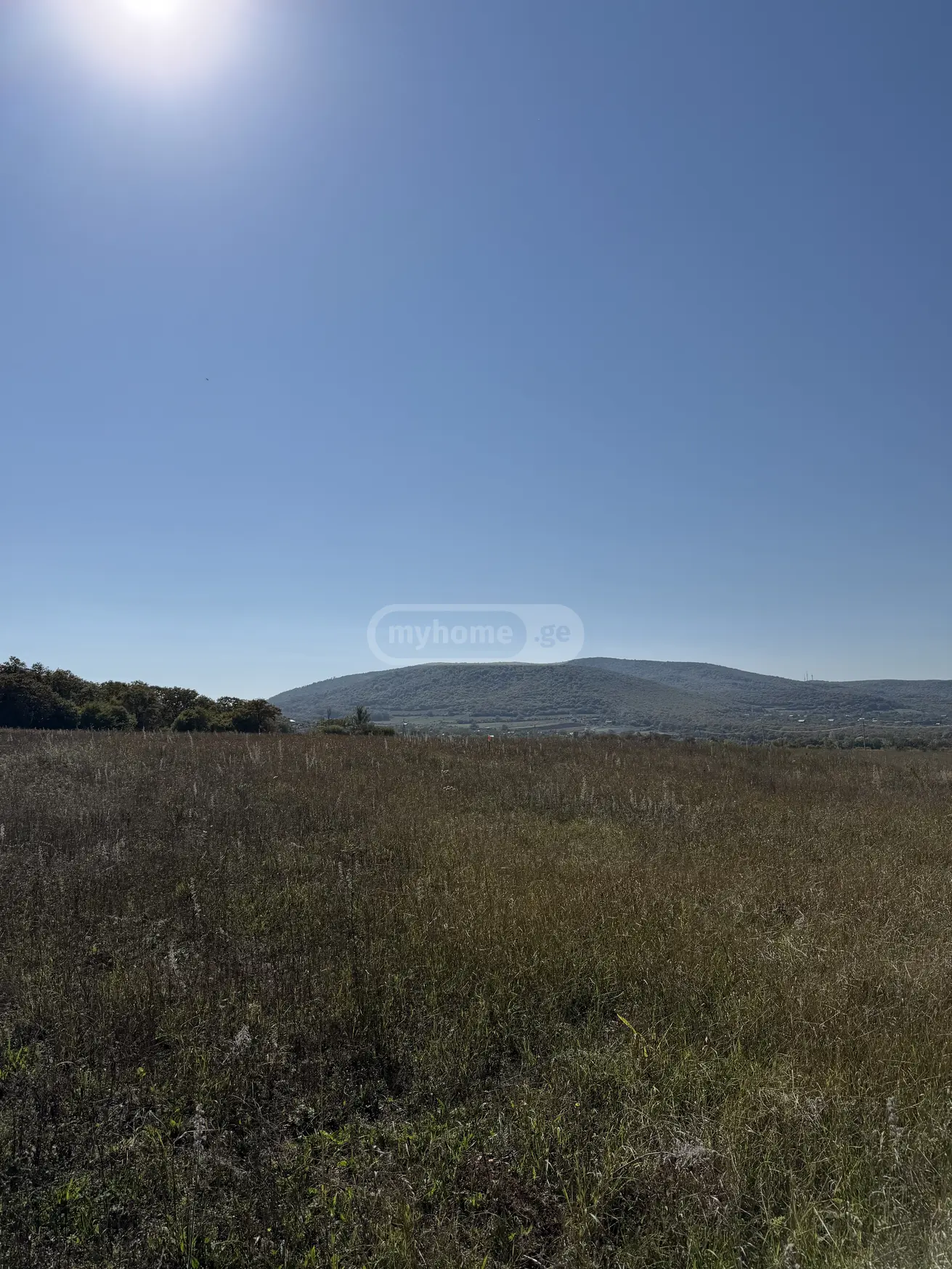 Agricultural Plot For Sale Near Bazalet Lake, In Dusheti Municipality view 2