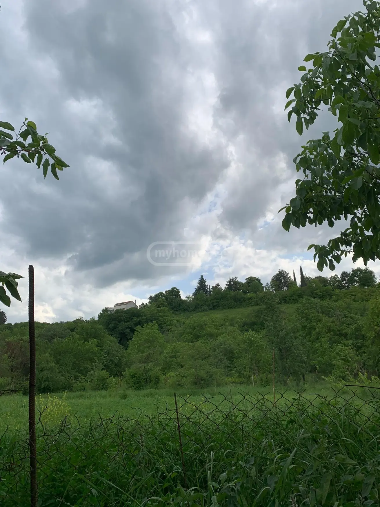 Agricultural Plot For Sale In Ikalto, In Telavi Municipality view 2