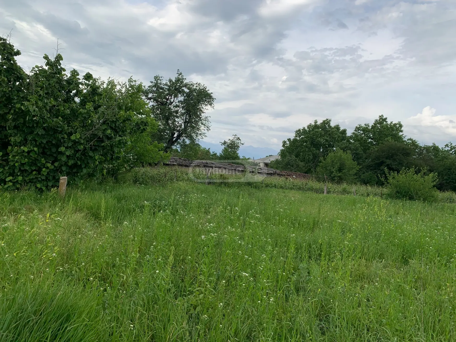 Agricultural Plot For Sale In Ikalto, In Telavi Municipality view 4