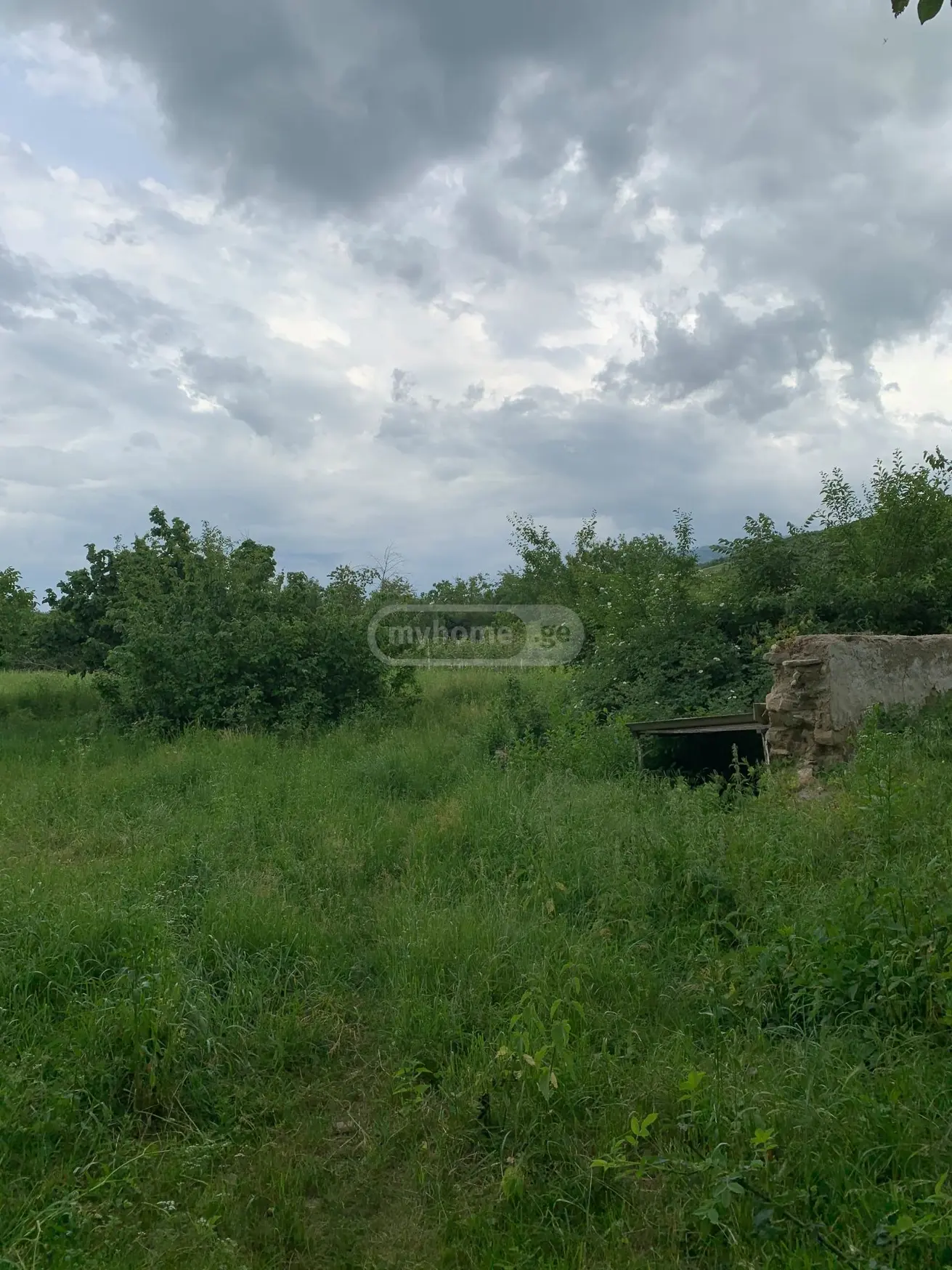 Agricultural Plot For Sale In Ikalto, In Telavi Municipality view 3
