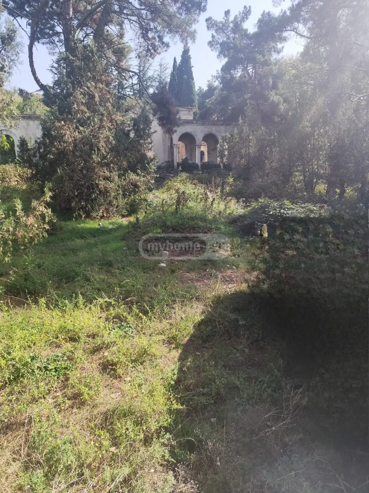 Non-Agricultural Plot For Sale In Gardabani view 10