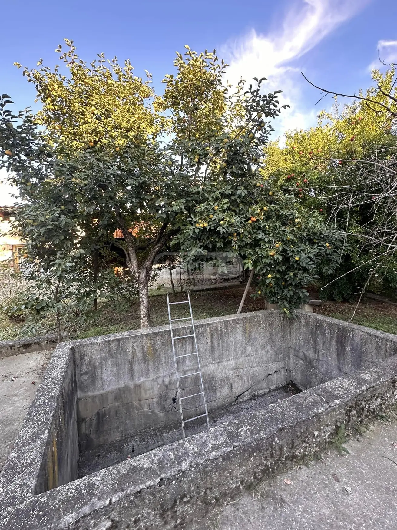იყიდება 10+ Room Private House In Tsinandali, In Telavi Municipalityში view 11