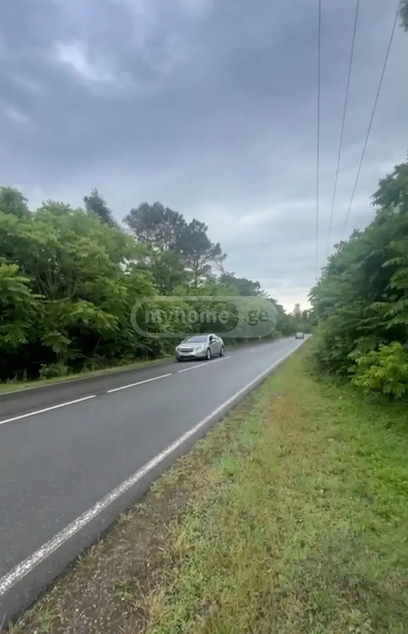 იყიდება Commercial Plot In Natanebi, In Ozurgeti Municipalityში view 4