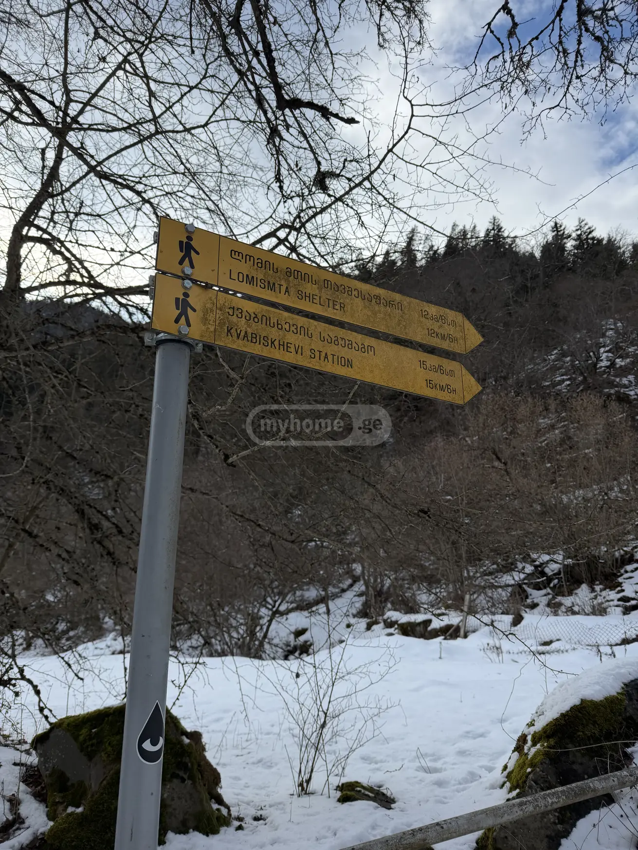 Agricultural Plot For Sale In Likani, In Borjomi Municipality view 7