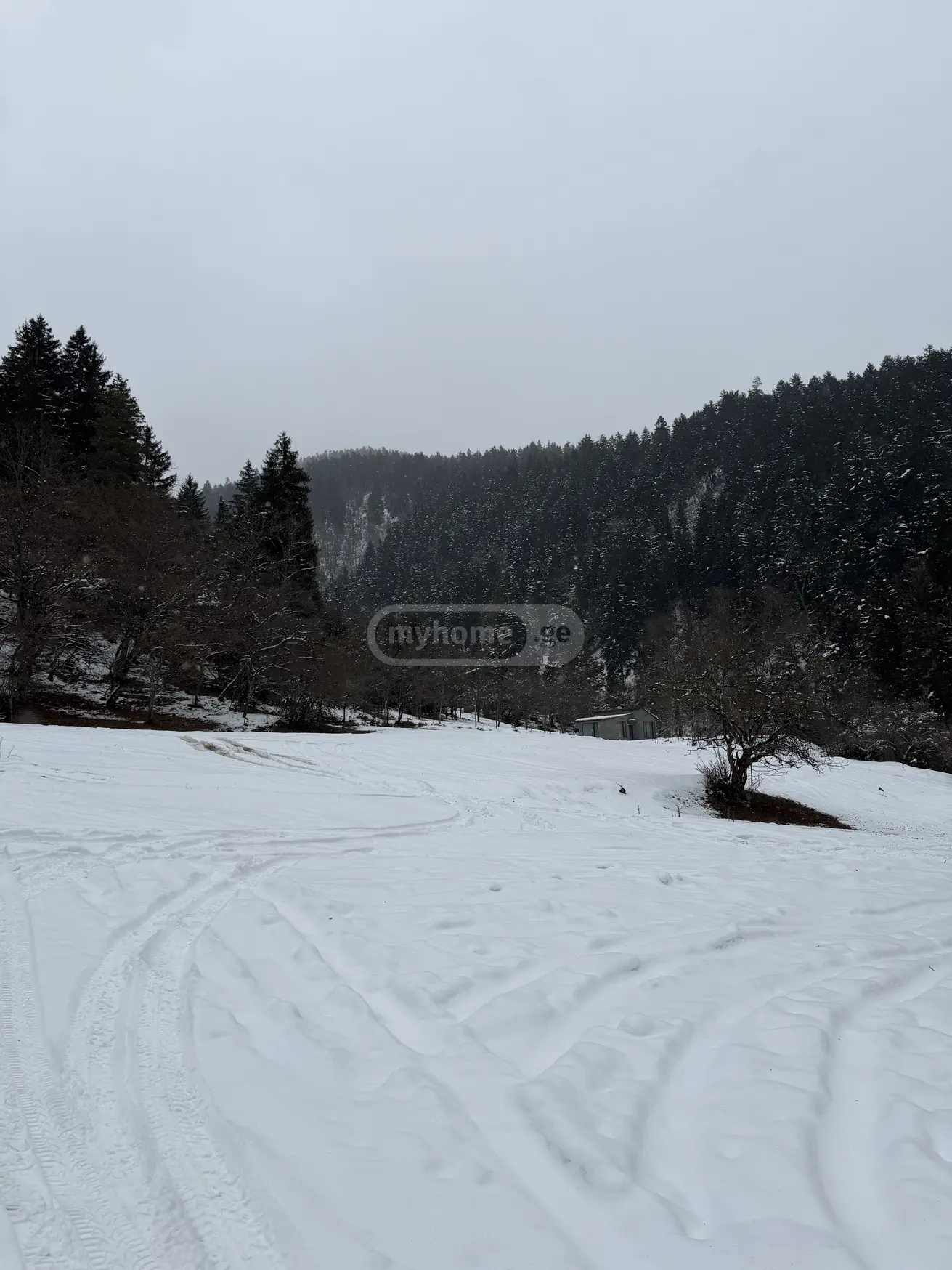 Agricultural Plot For Sale In Likani, In Borjomi Municipality view 5