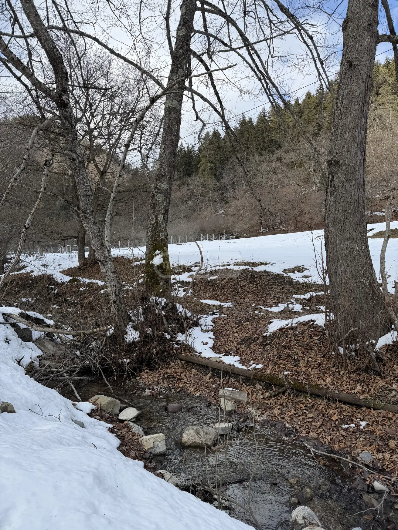 Agricultural Plot For Sale In Likani, In Borjomi Municipality view 6