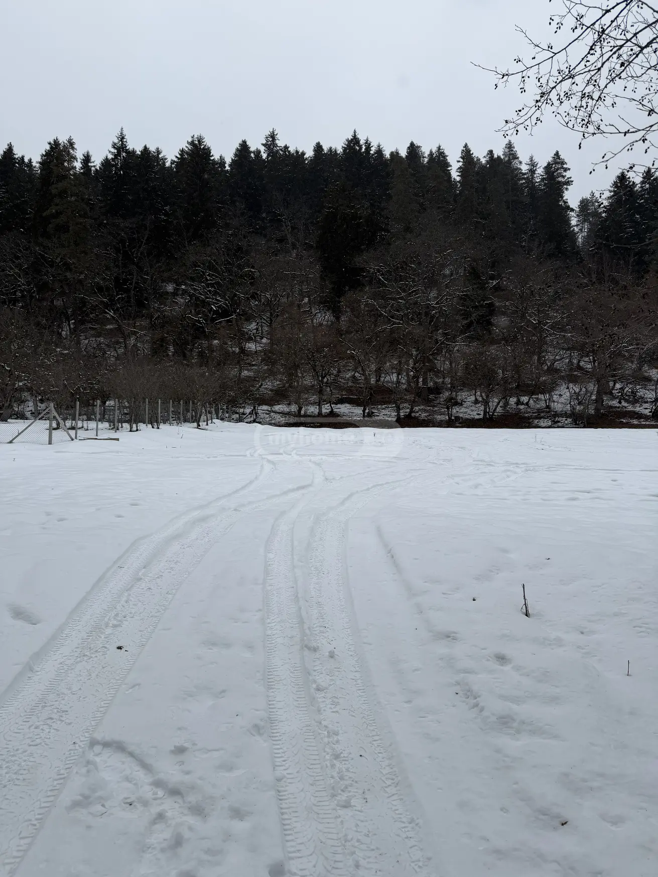 Agricultural Plot For Sale In Likani, In Borjomi Municipality view 4