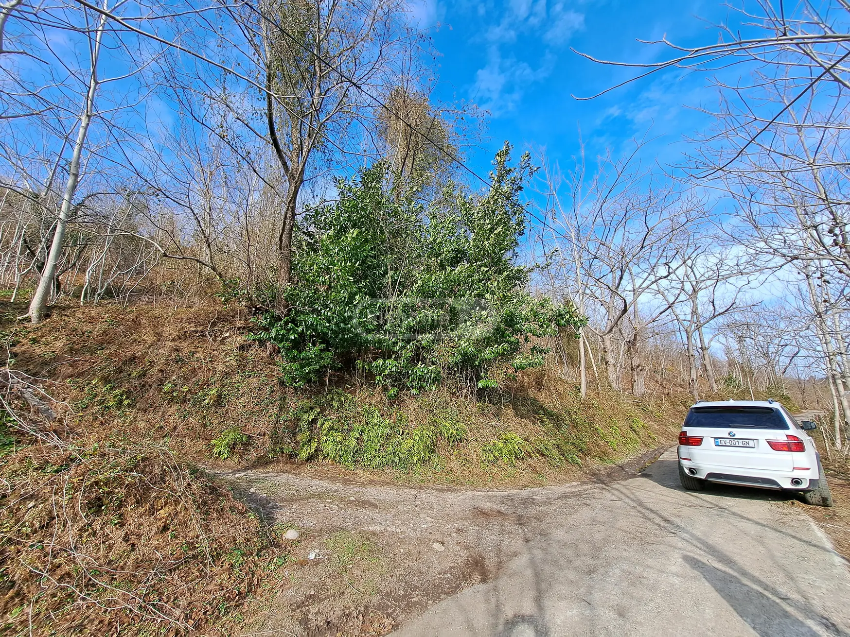 Agricultural Plot For Sale In Khelvachauri view 7